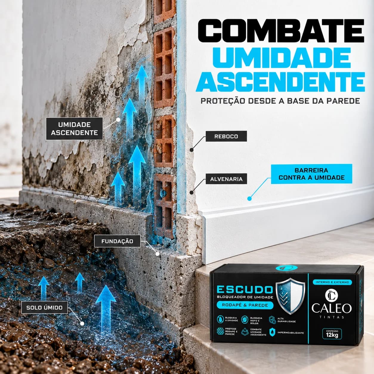 Umidade ascendente: o que é e como tratar